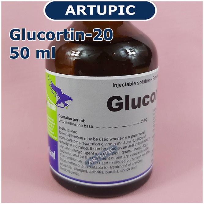 Glucortin-20 50 ml Obat Analgesik Antipiretik Antiinflamasi Hewan Ternak Antialergi Antistress mempercepat pemulihan kondisi pada sapi kambing domba babi anjing kucing