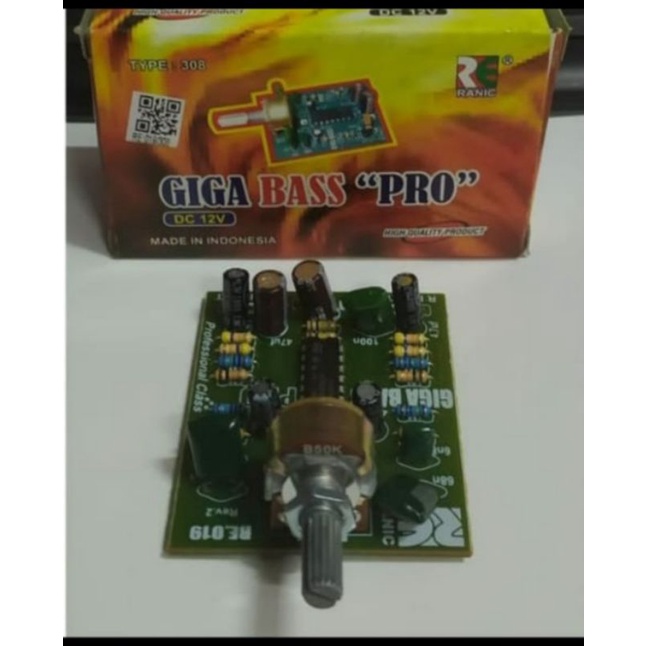 KIT GIGA BASS PRO-12V RANIC