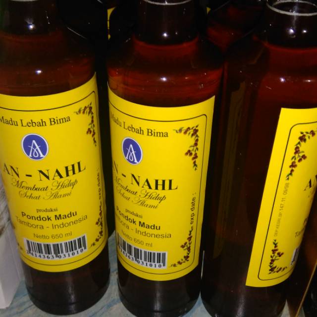 

Madu lebah bima