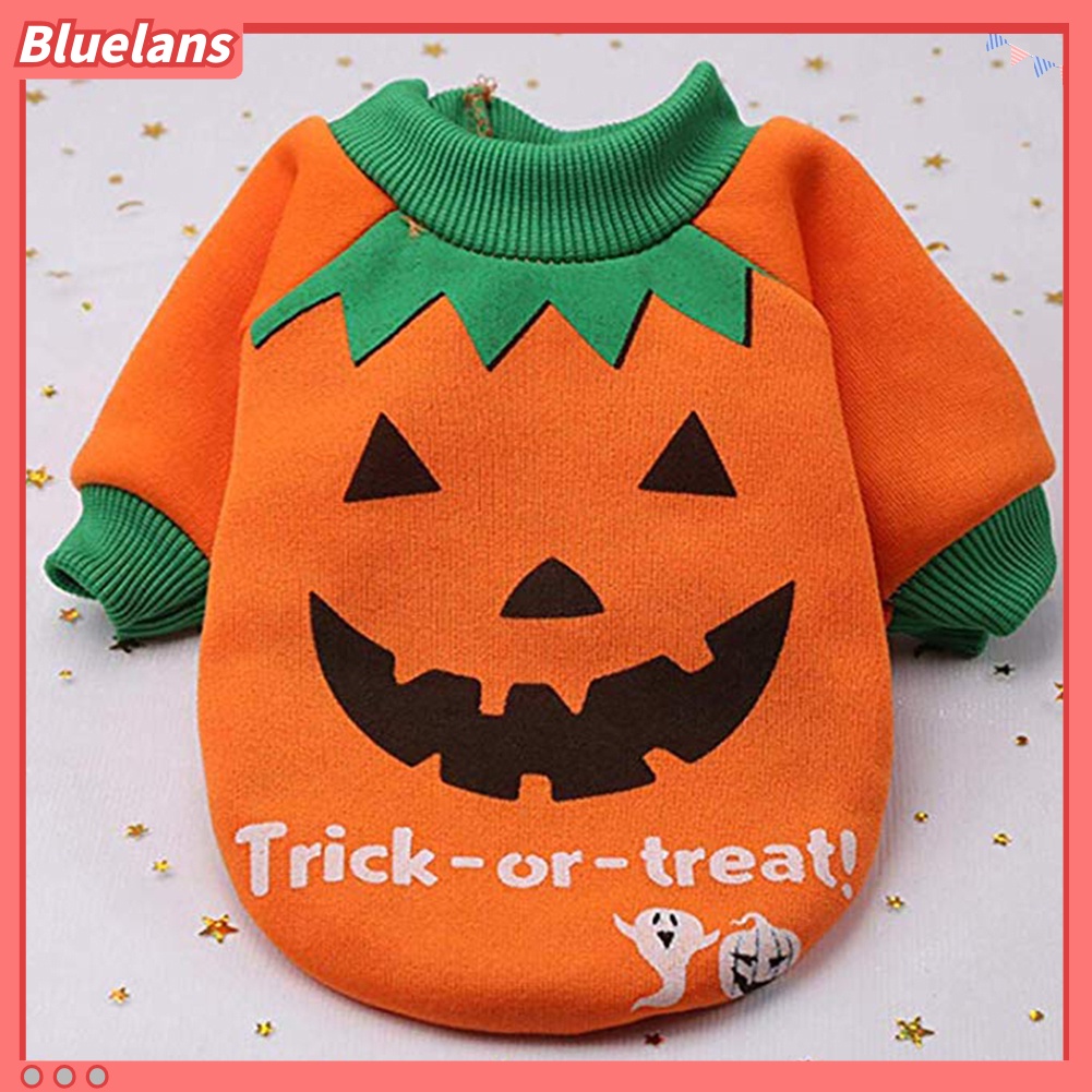 Kaos Kostum Halloween Motif Labu Penyihir Untuk Anjing Peliharaan