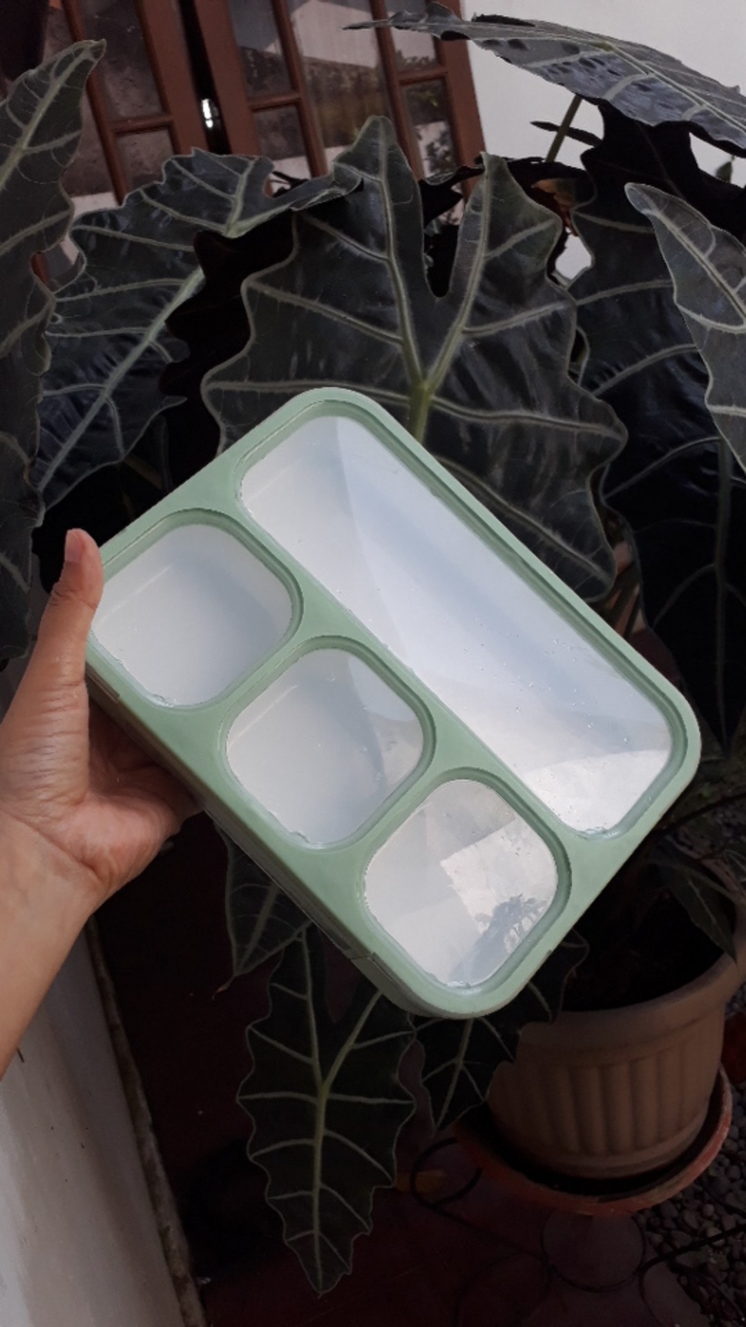 Tempat Makan Yooyee 578 Green Pink Blue Anti Tumpah