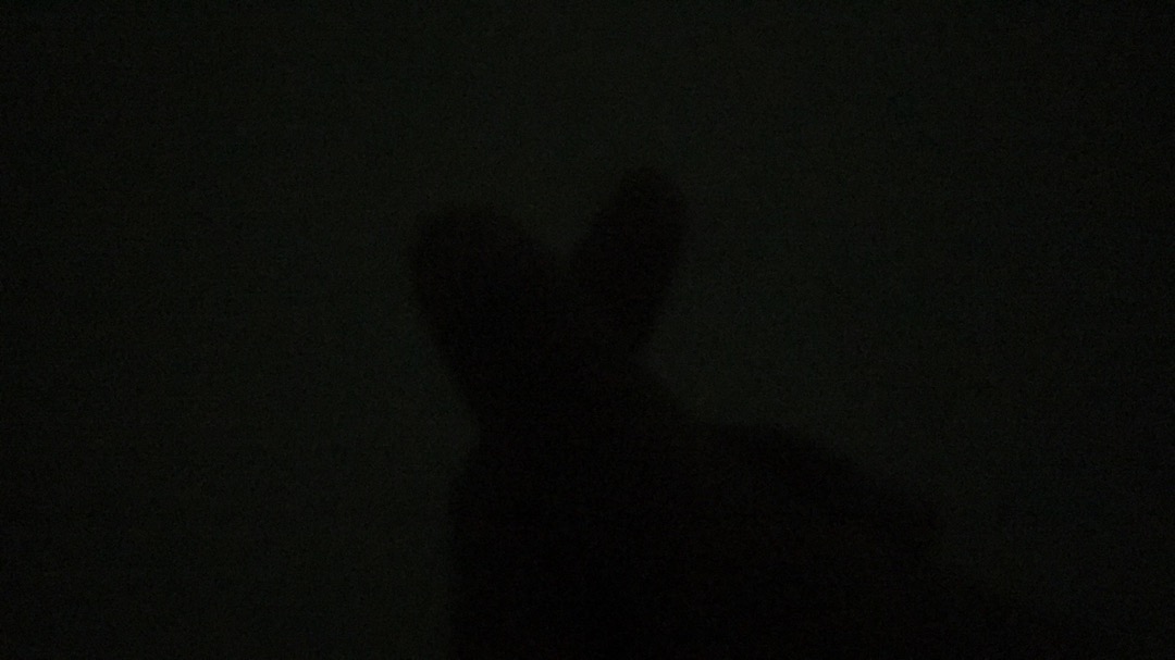 Tray Sushi - Easypack - Mika Kue Sushi - Isi 100 Set