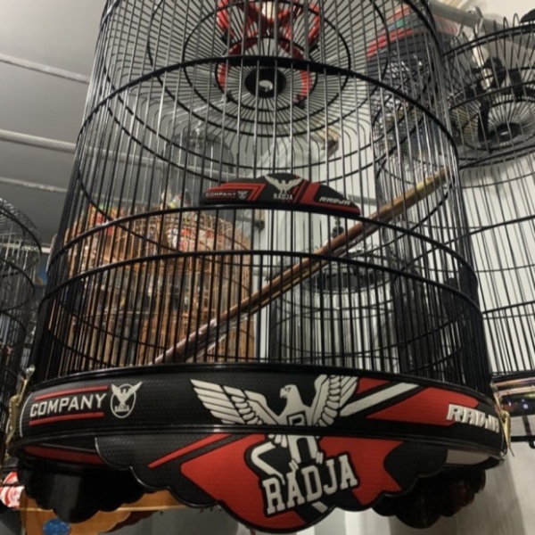 Unik onderdil Sangkar Murai Radja pvc 3D Murah 26SZ2 Limited