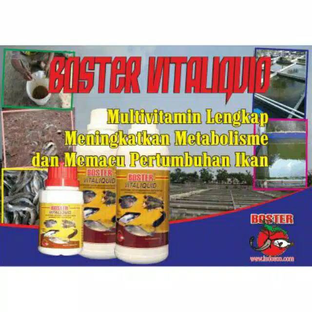 Jual Boster Vitaliquid Ml Multivitamin Untuk Menaikkan Nafsu Makan