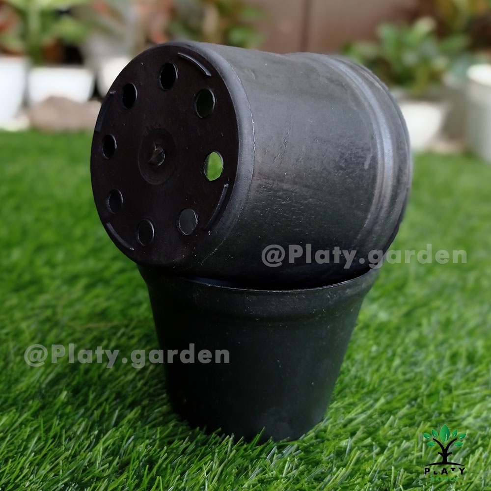 Pot Botani Hitam | (12cm - 20cm)