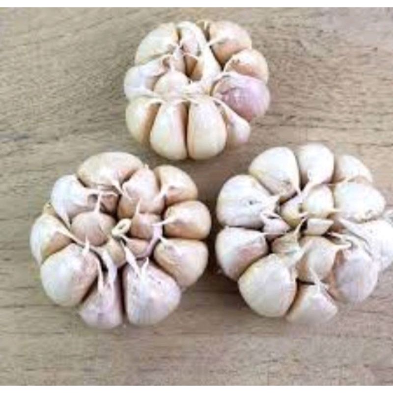 

BAWANG PUTIH BERSIH 250 GR