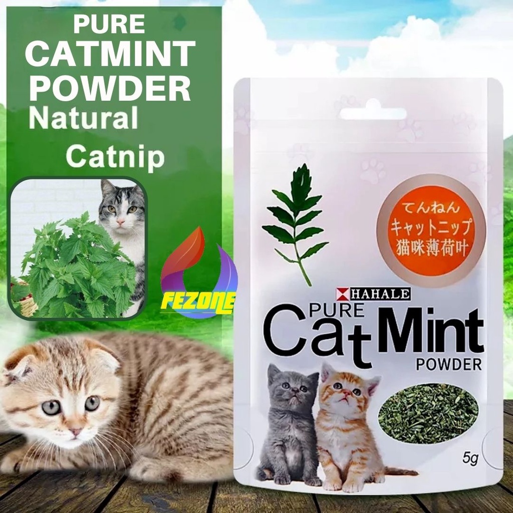 Catmint Catnip Cat Mint Serbuk Organik Kucing 5g Bikin Fly Kucing Original Catnip Pure Powder Snack Hewan Peliharaan Penghilang Stress Kucing FEZONE