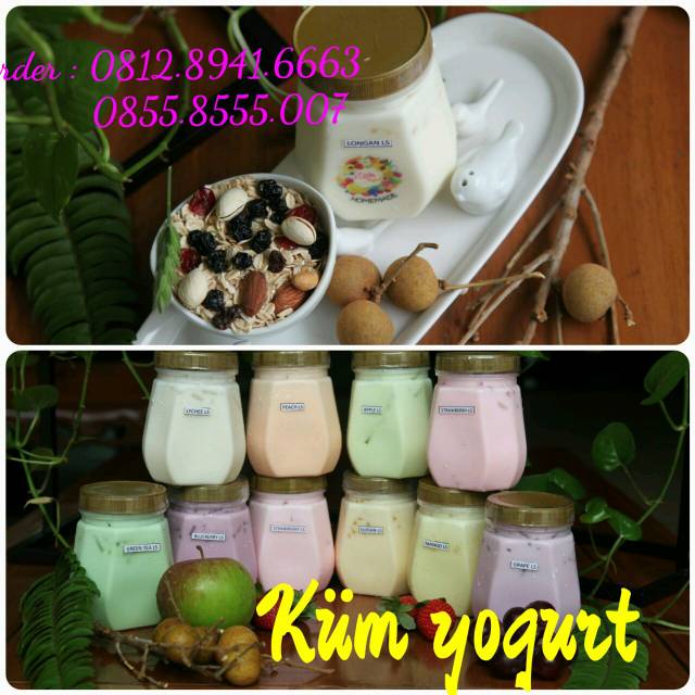 kumyogurt