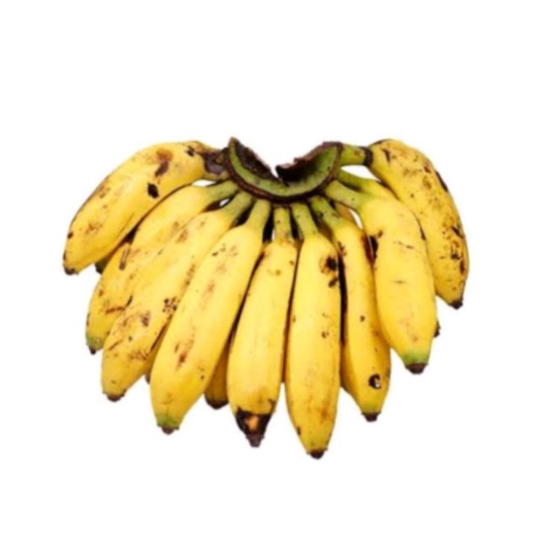 

Pisang muli pisang uli fresh 1sisir