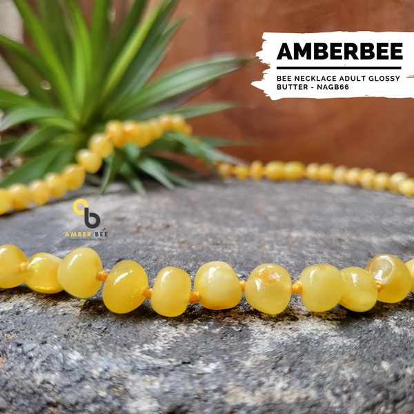 Kalung Amber Dewasa Premium Glossy Butter by Amber Bee NAGB66