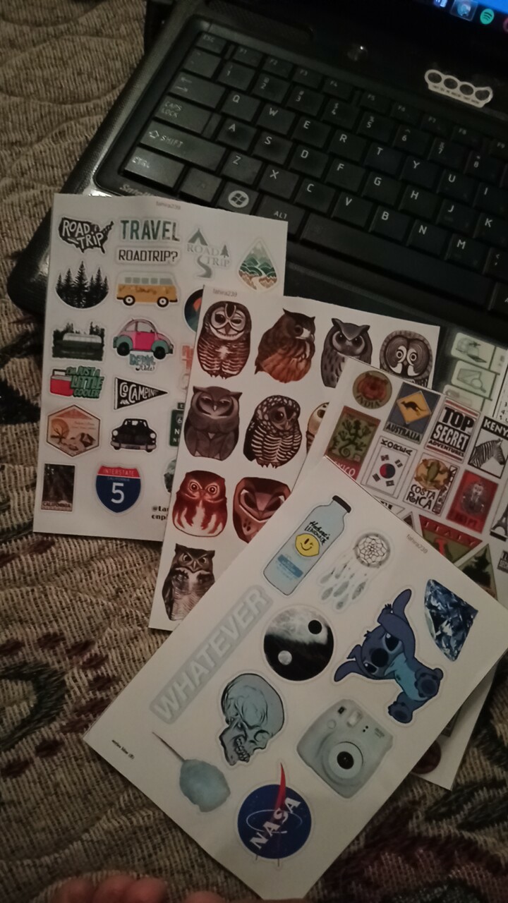 Fls1-50 Aesthetic Stiker |stiker Tumblr / Stiker Pack Aesthetic Seri Bird 1 / Stiker Hp Leptop/binde