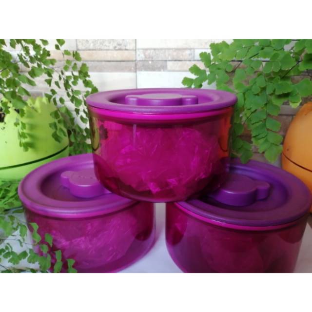 Premiere Collection tupperware ungu / toples tupperware murah (1)