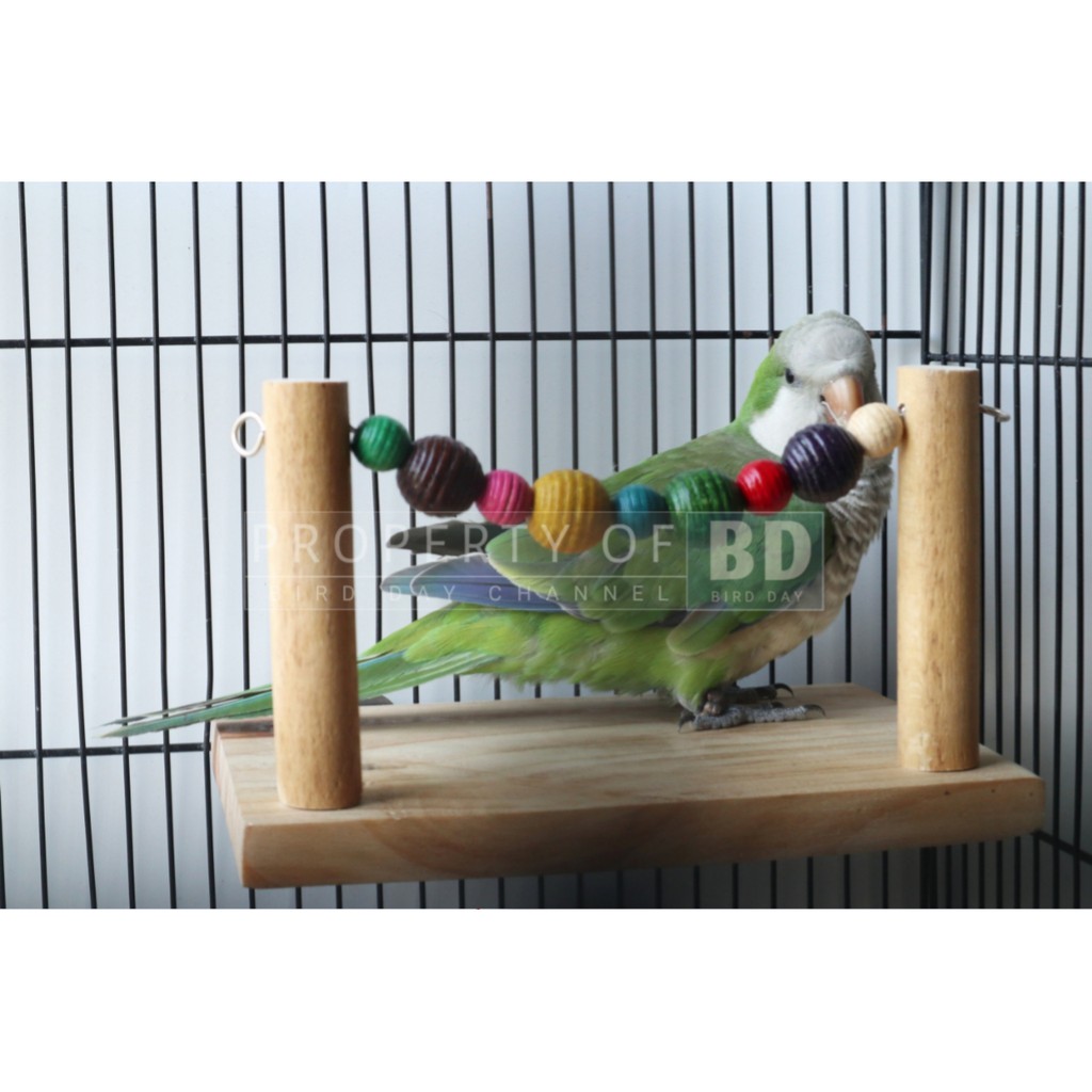 TENGGERAN TANGKRINGAN PAPAN BURUNG PARROT, LOVEBIRD, PARKIT, FALK, MONK
