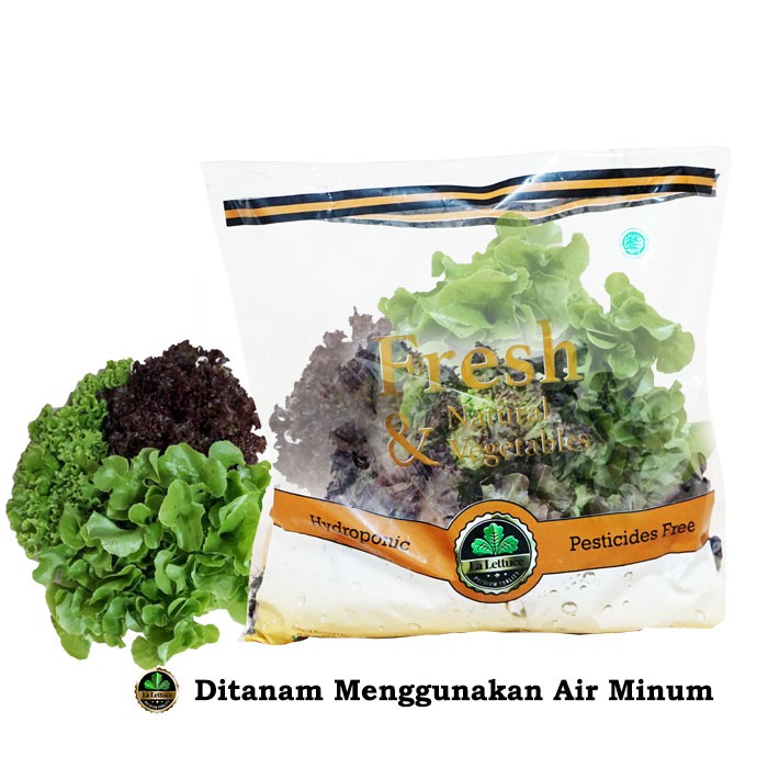 

Sayur Hidroponik Mix Lettuce 250gr/sayuran sehat siap olah