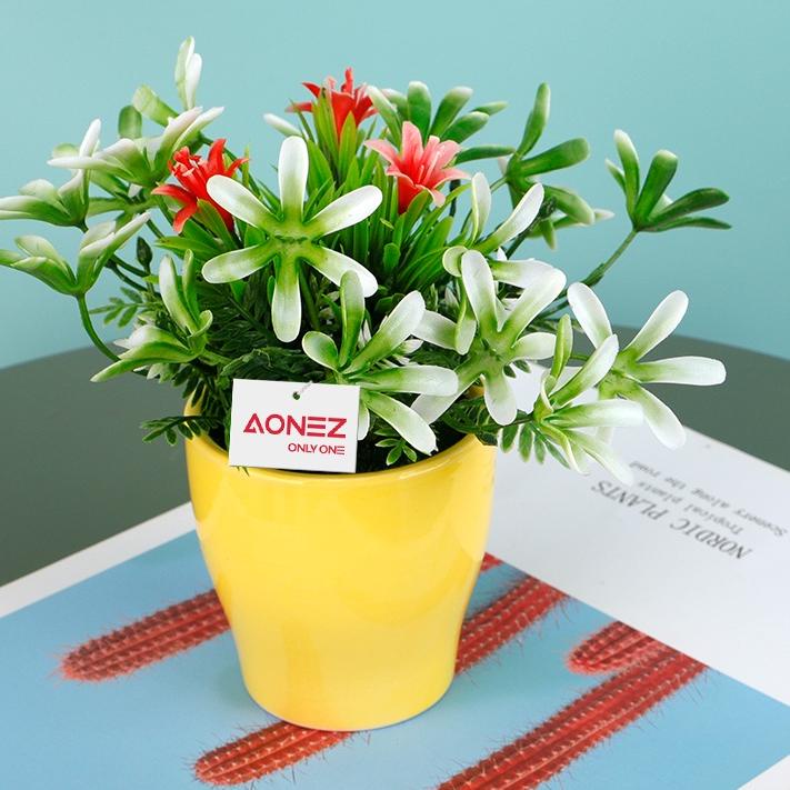 〈〈GRO⚡IR〉〉 Aonez bunga hias bunga artificial murahbunga mini hiasan tanaman kaktus hias dengan pot