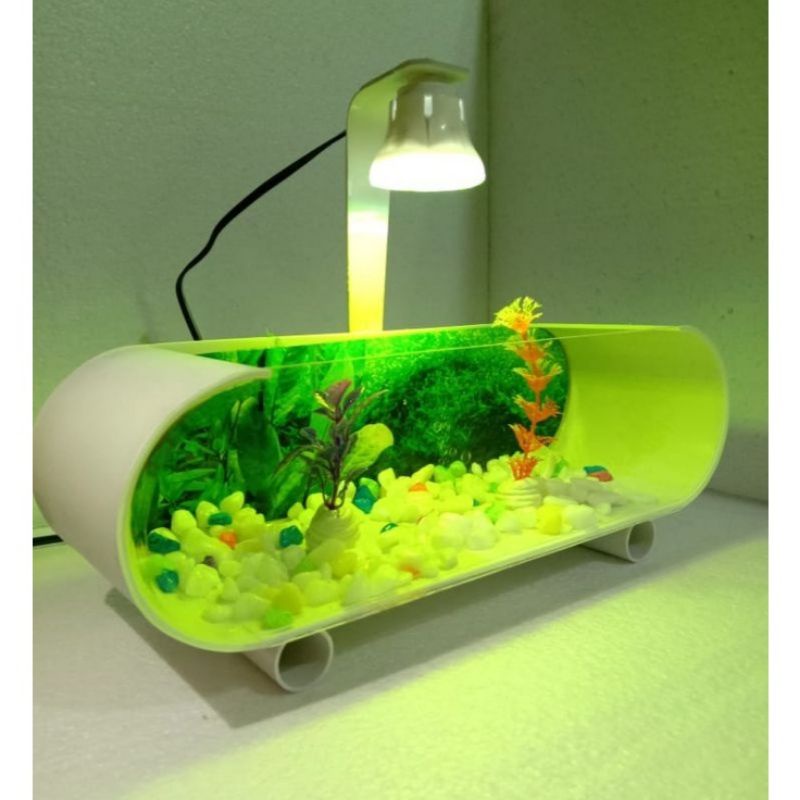Aquarium mini akrilik cocok buat ikan cupang,Guppy,neon