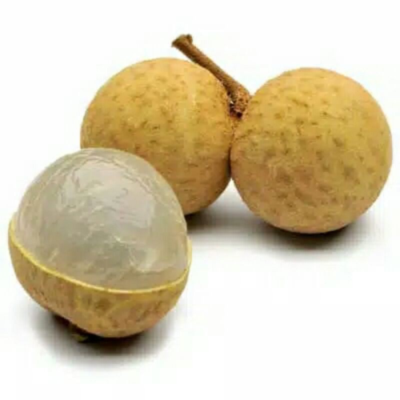 

biji buah kelengkeng/5biji