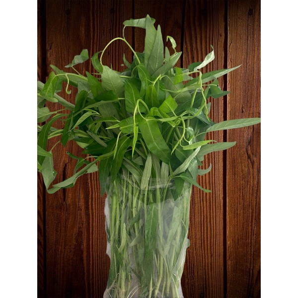 

Kangkung hydroponik