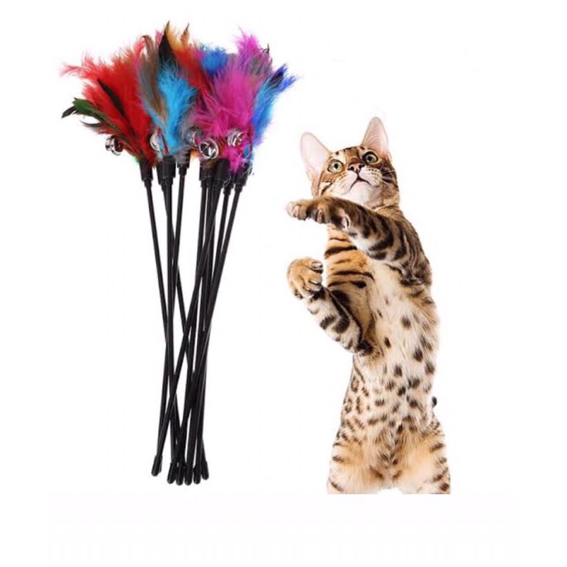 Mainan Kucing Tongkat Bulu Kemoceng Pancingan Tongkat Panjang Mainan Anak Kucing Mainan Kitten Shopee Indonesia