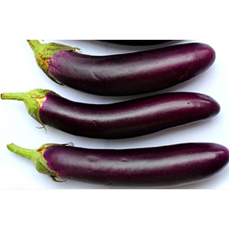 

Sayur Terong muda 1000 gram