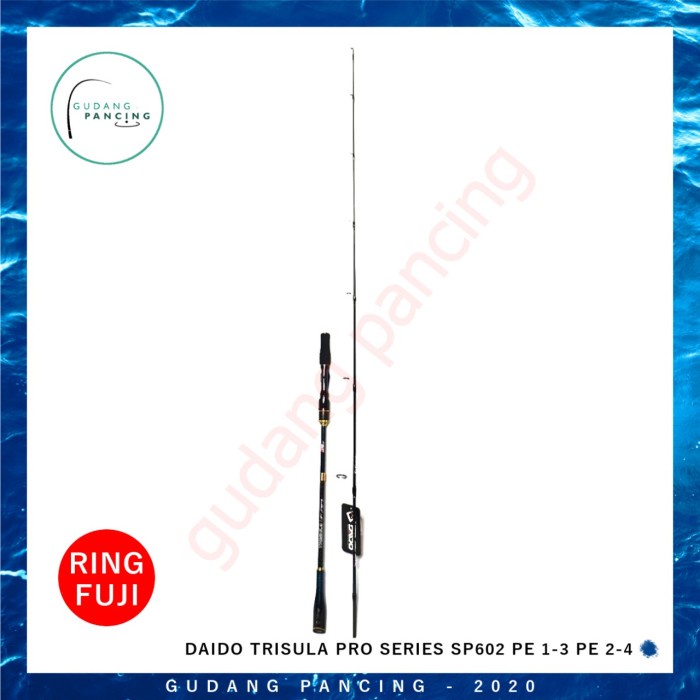 TERLARIS Rod Daido Trisula Pro Series SP602 PE 1-3 PE 2-4 - PE 1-3