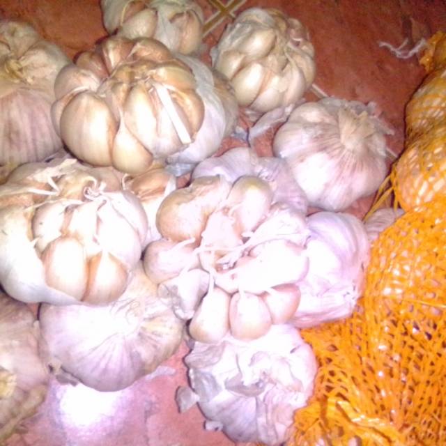 

Bawang putih 24.000/1kg