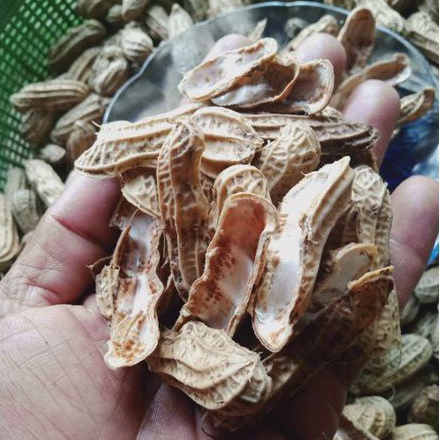Kulit Kacang Tanah Kering 100 Gram