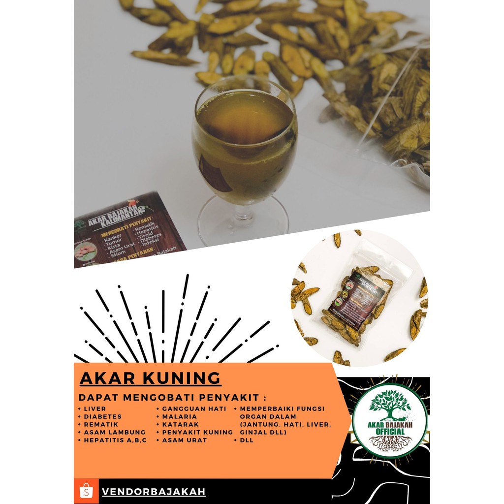 TEH AKAR BAJAKAH KUNING 30PCS ASLI KALIMANTAN