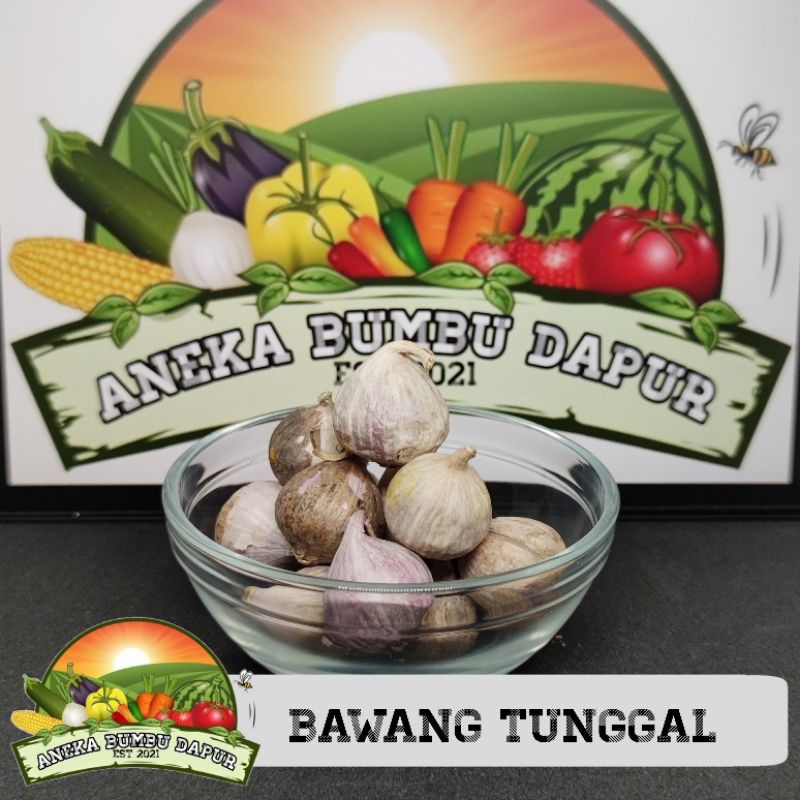 

bawang tunggal / jantan