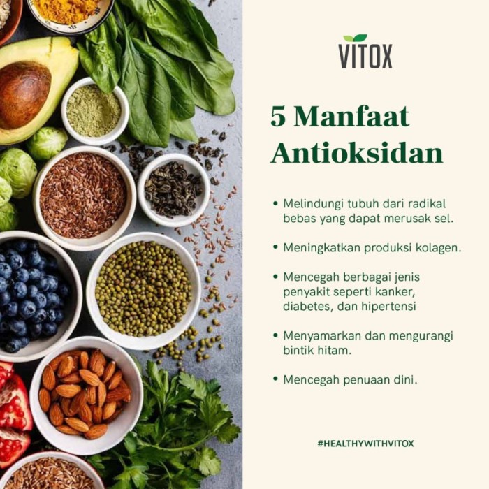 Vitox by VITOX INDONESIA 1Box 16sachets