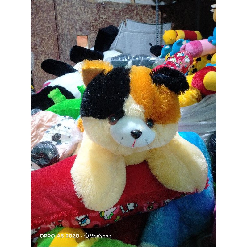 BONEKA KUCING JUMBO LUCU