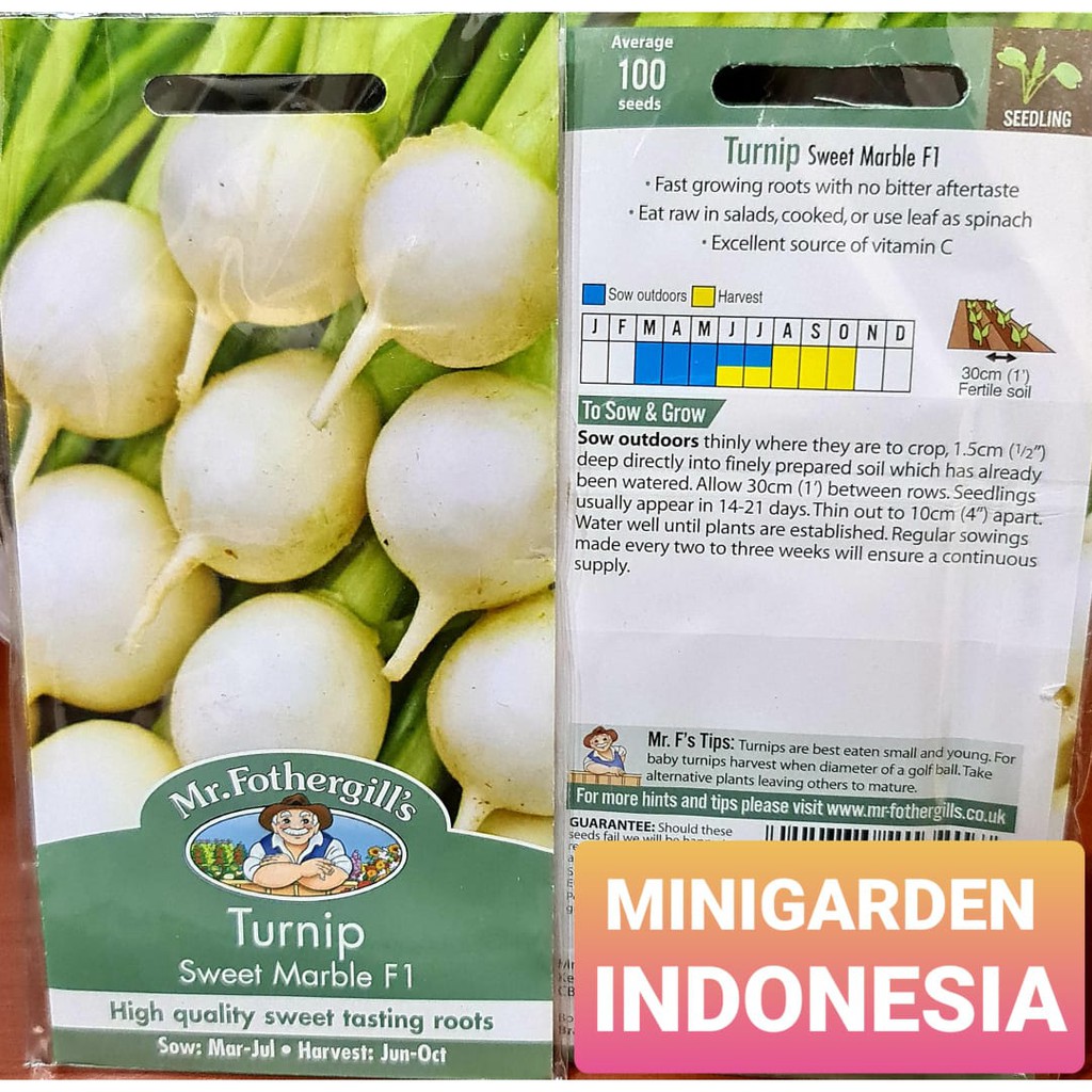 BENIH LOBAK PUTIH TURNIP SWEET MARBLE PACK 100 BIJI bibit sayur lobak import f1 Mr. Fothergills