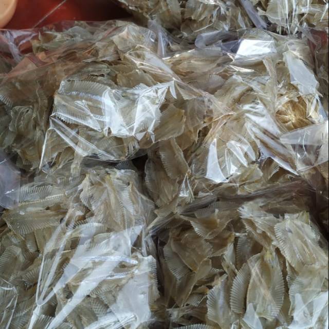 

Ikan Trayak