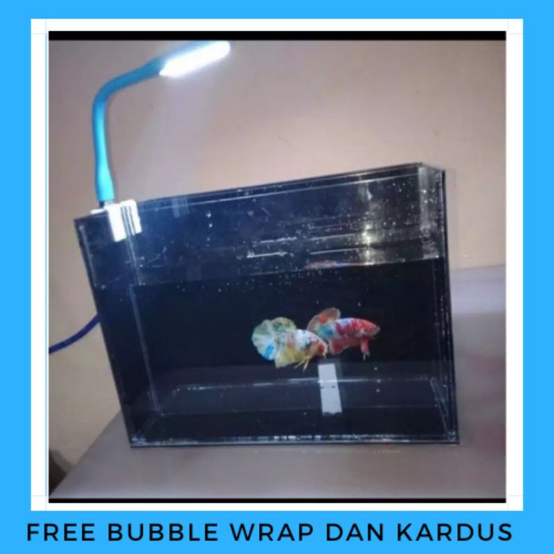 SOLITER AQUARIUM AKRILIK CUPANG MURAH + LAMPU LED 20X10X15