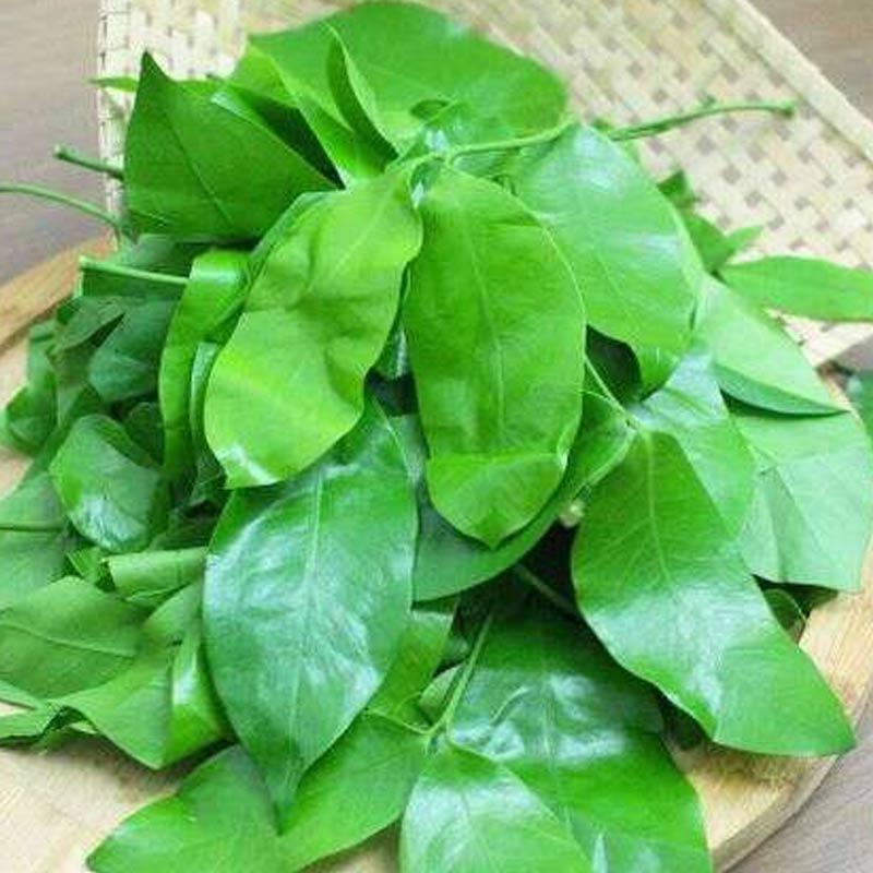 

Daun Melinjo 50gr