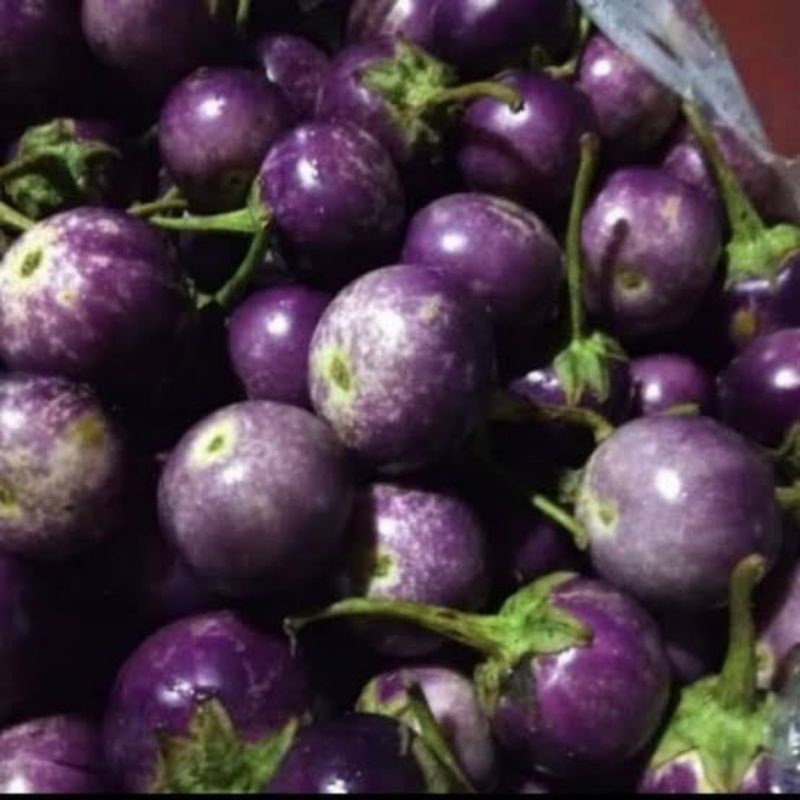 

Terong Bulat Ungu || Terong Lalap 250gr