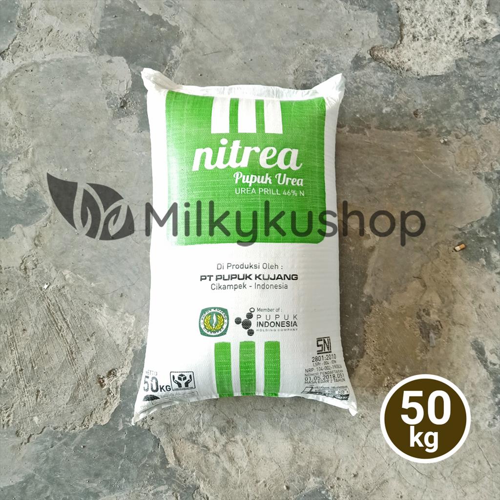 PUPUK KUJANG UREA NITREA 50 KG KEMASAN PABRIK NON SUBSIDI VIA CARGO