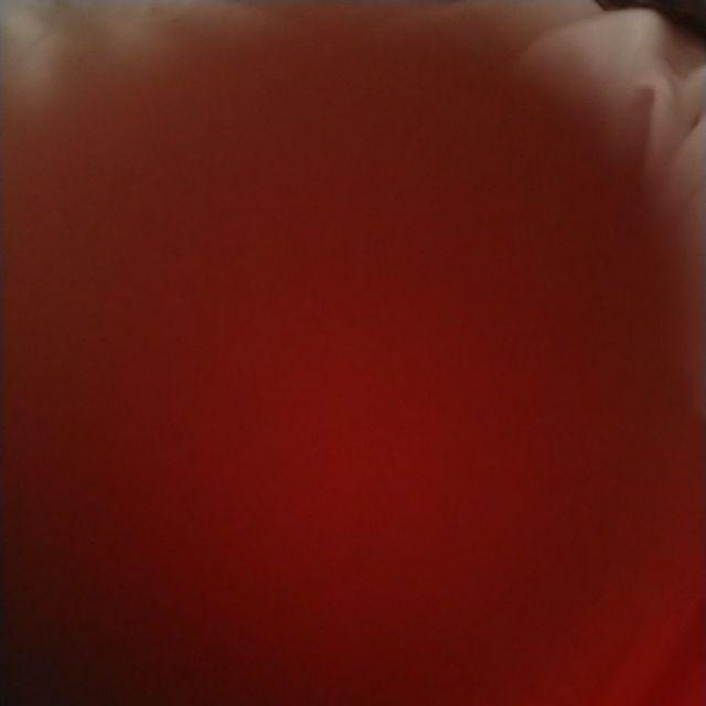 Scrubber / Scouring Pad 5013 Rayaco