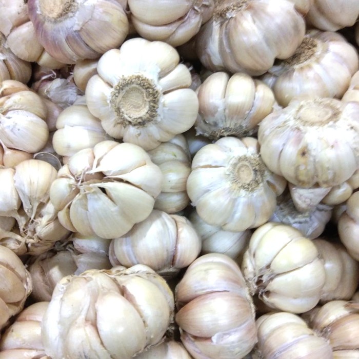

01F1S Bawang Putih Fsfs201