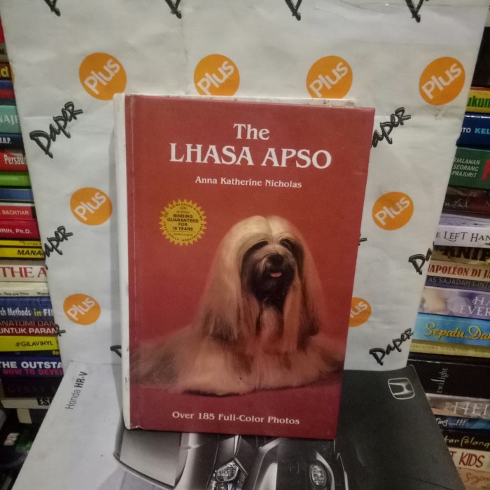 ORI THE LHASA APSO ANNA KATHERINE NICHOLAS