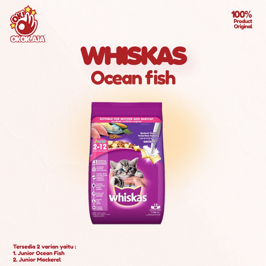 Makanan Kucing kering premium murah WHISKAS JUNIOR Freshpack 1,1kg