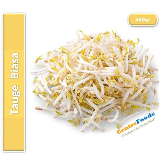 

Sayur Tauge Fresh - Toge Jabar | 1500gr [ Harga Per 0,5 Kg ]
