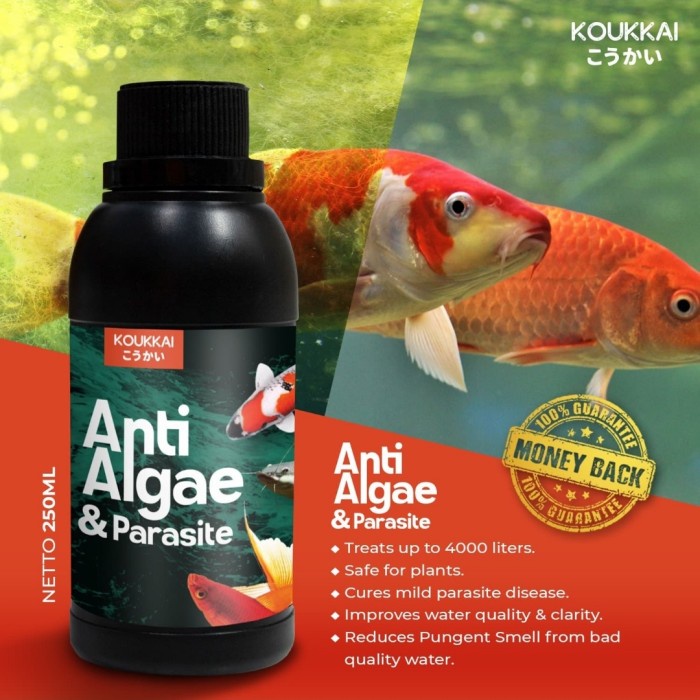 KOUKKAI - Anti Alga dan Parasit Alga Remover 250 ML