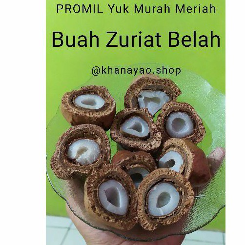 

Buah Zuriat potong/belah 250 gr siap rebus - Doum - Zuriat - Promil