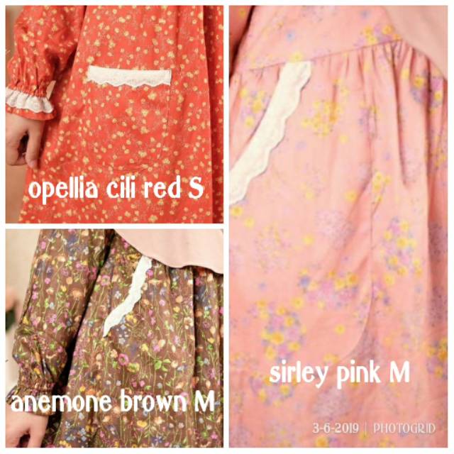 Disty Official Juli 2019