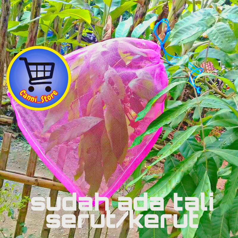 Brongsong kelengkeng/waring/jaring/fruit cover