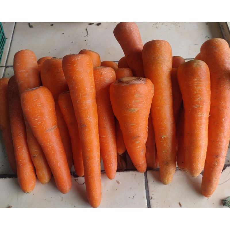 

KIRIM INSTAN WORTEL IMPORT