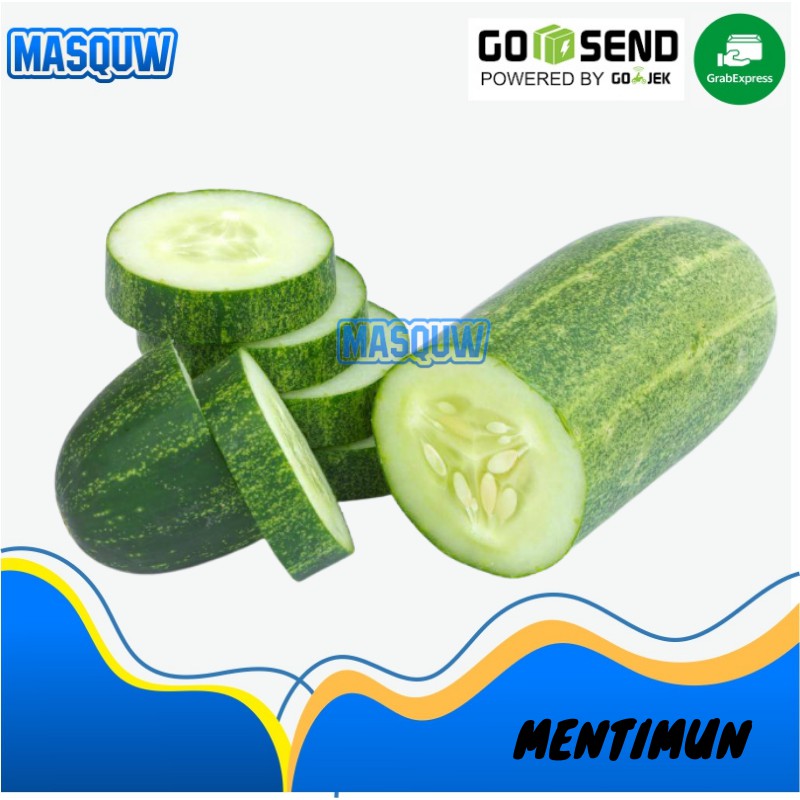 

TIMUN LOKAL / MENTIMUN BABY / KRAI TIMON / LALAP SAYUR SAYURAN FRESH SEGAR 500 GRAM - 1 KG MASQUW