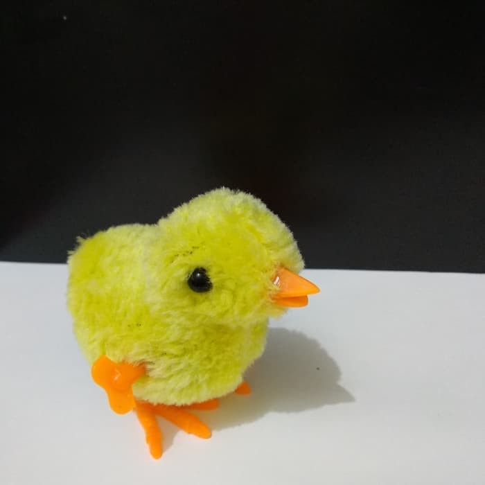 Mainan Ayam Ayaman Berjalan Chicken Bulu Shopee Indonesia