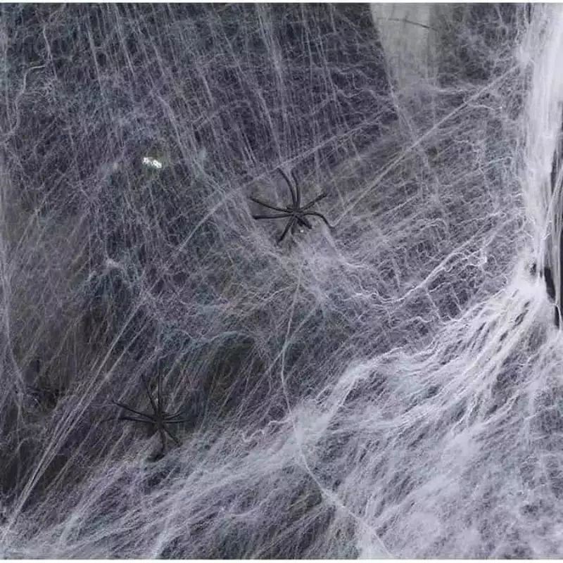 Taruh Sarang Laba Laba Di Kaki Yang Luka Pria Ini Takjub Dengan Hasilnya Luka Menutup Dan Sembuh Tribunnews Com Mobile